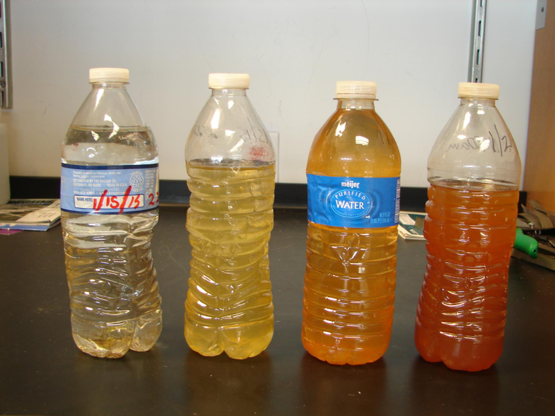Illustration for article titled Flint May Be Ordered By a Federal Court to Replace Its Lead Pipes